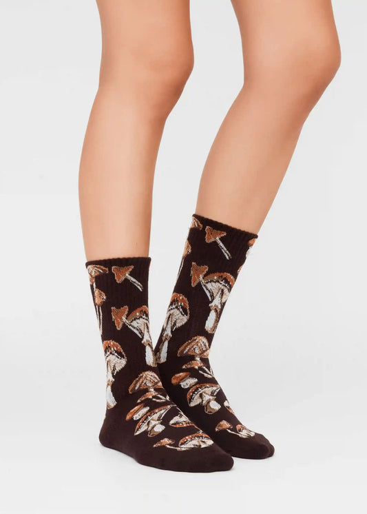 Autumn Collection Socks